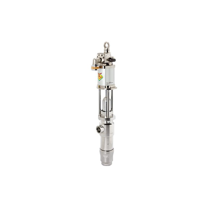 Raasm 120DT/31 Divorced Pump In Aisi 304 Stainless Steel S.1200, R 3:1 - 55 L/Min