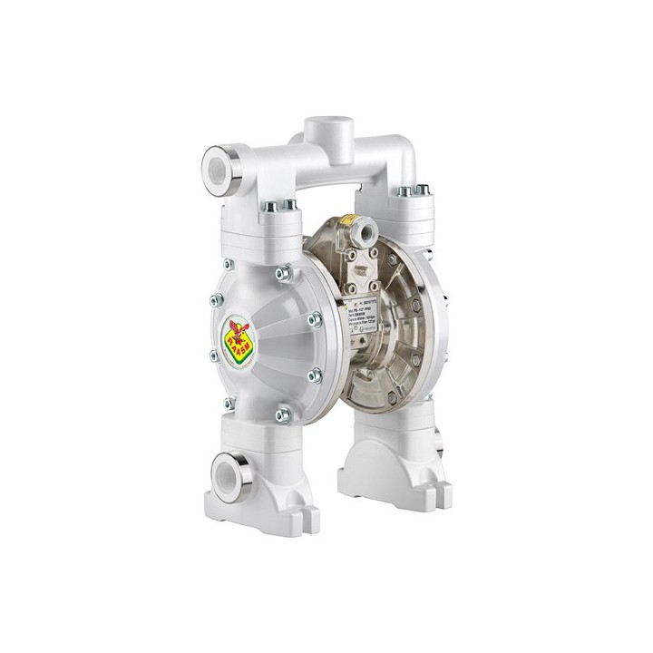 Raasm 2B8/16117TT52 Dual Inlet Diaphragm Pump 1/2" Series 120-Ppab, Wet Parts In Polypropylene With Membrane In Ptfe, St