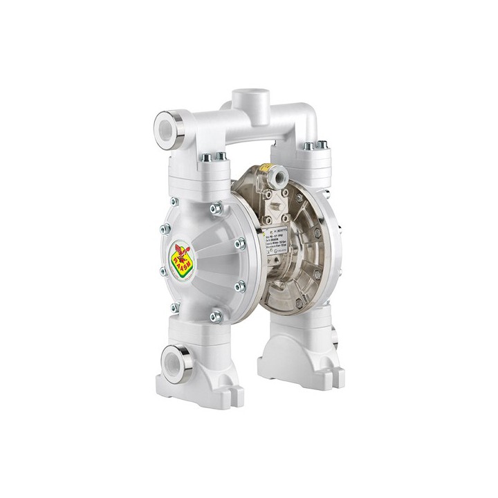 Raasm 2B8/16117TT5 Dual Inlet Diaphragm Pump Series 1/2" 120-Ppab In Polypropylene & Aluminum With Membranes In Ptfe+