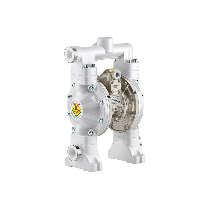 Raasm 2B8/16117SS5 Dual Inlet Diaphragm Pump Series 1/2" 120-Ppab In Polypropylene & Aluminum With Membranes In Santo