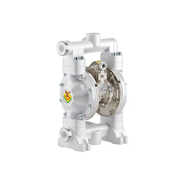 Raasm 2B3/16117TT52 Diaphragm Pump Series 1/2" 120-Ppab With Springs, In Polypropylene, With Membrane In Ptfe, Stainless