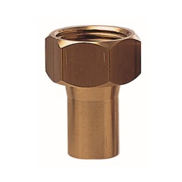 Raasm 45551 Connector For Boat 3/4" (F)