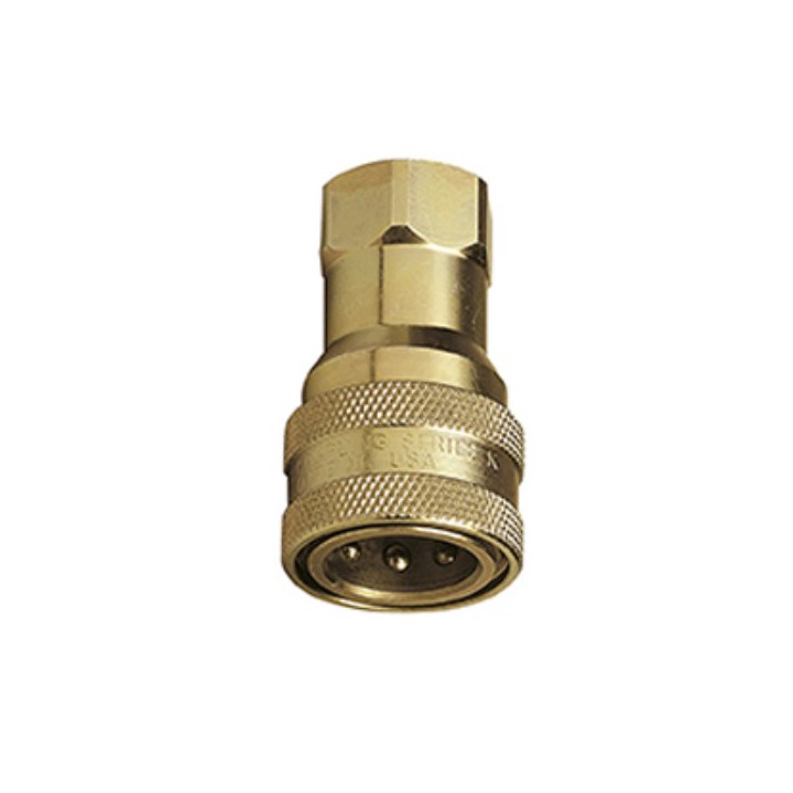 Raasm 33134 Female Quick Connector With Check Valve, Thread G 1" (M)