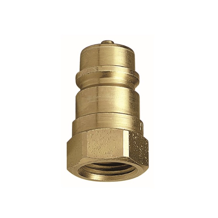 Raasm 33127 Male Quick Connector With Check Valve, Thread G 3/4" (F)