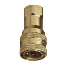 Raasm 33126 Female Quick Connector With Check Valve, Thread G 3/4" (F)