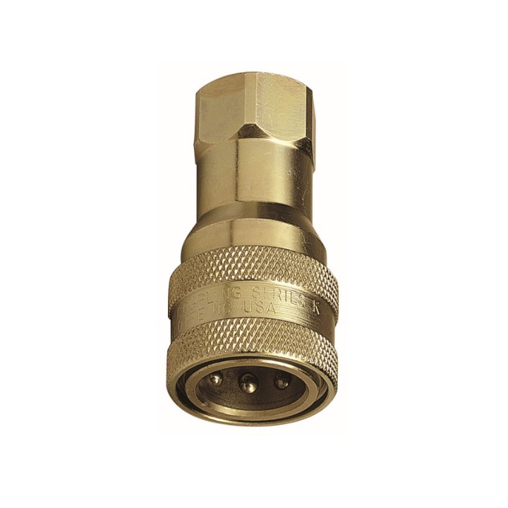 Raasm 33126 Female Quick Connector With Check Valve, Thread G 3/4" (F)