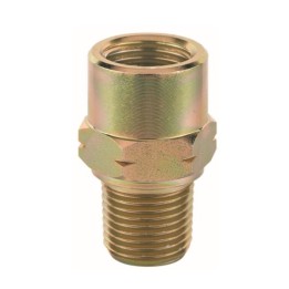 Raasm 38076 Adaptor G 1/2" (F) x Npt 1/2" (M)