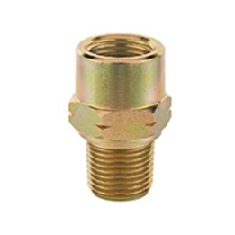 Raasm 33112 Adaptor G 3/4" (M) x Npt 3/4" (F)