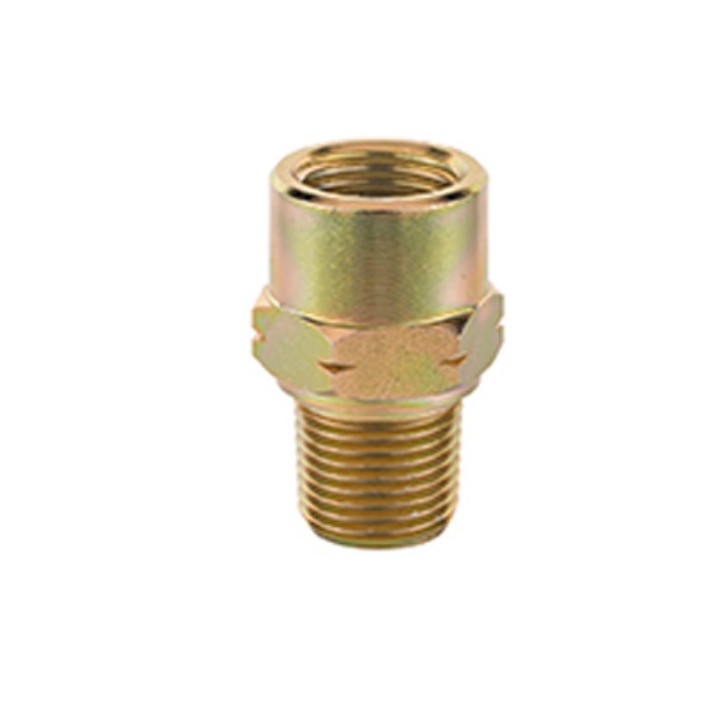 Raasm 33106 Adaptor Npt 3/4" (M) - G 3/4"(F)