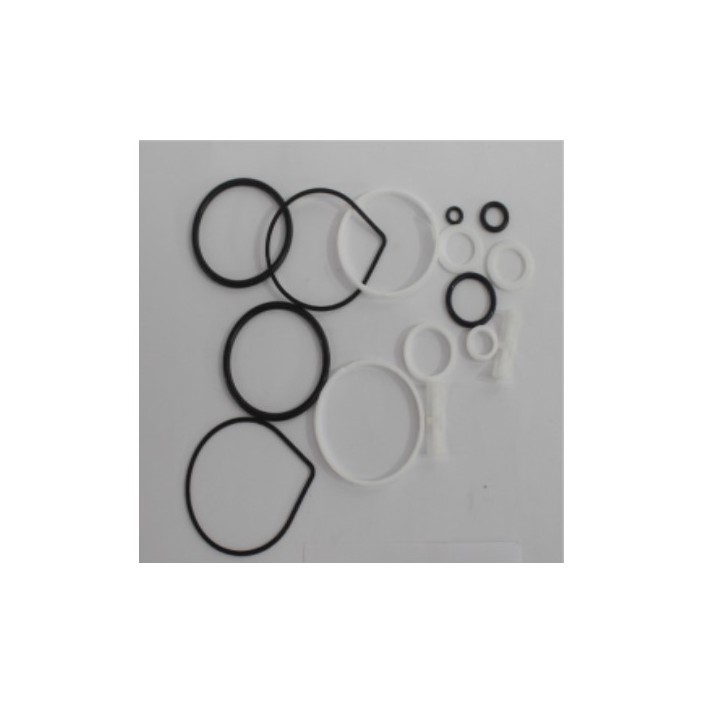 Pneumatix FX999-RAT052-SEAL Actuator - Rat052 Seals & O-Ri