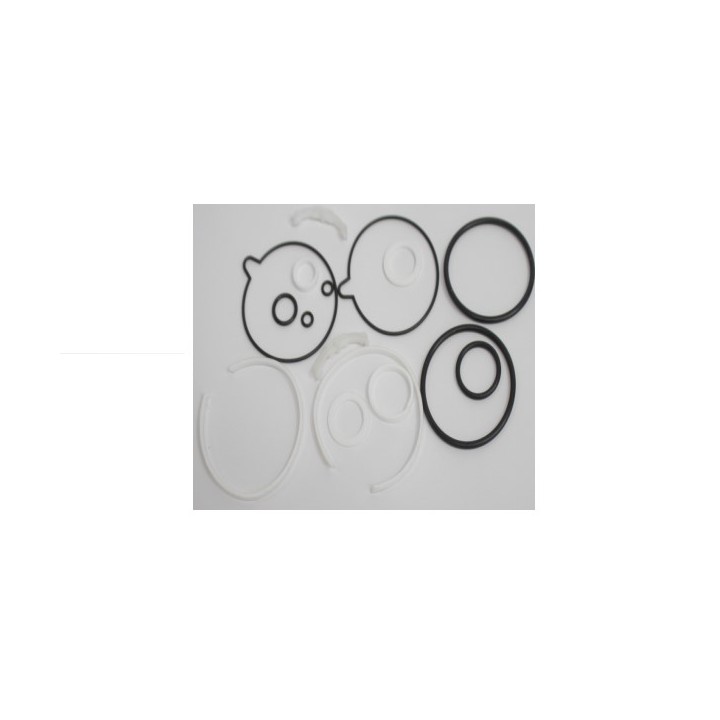 Pneumatix FX999-RAT063-SEAL Actuator - Rat063 Seals & O-Ri