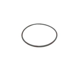 Piusi R06710000 Accessories - Kit Seal O'Ring