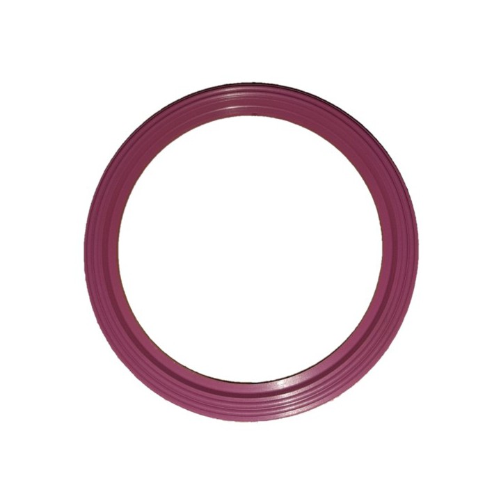 Liquip API800-1 Seal Product Viton B Api800