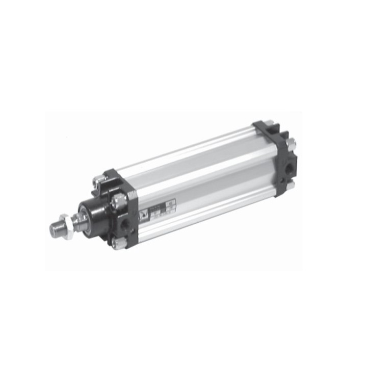 Pneumax 1319.050.0070.01 Profile Cylinder Pmx Cylinder-Profile
