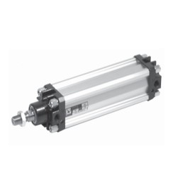 Pneumax 1319.063.0050.01 Profile Cylinder Pmx Cylinder-Profile