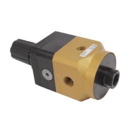 Pneumax 17212A.A Regulator 1/4 Inch 0-2 Bar High Sensitive