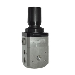 Pneumax 171S2B.0002 High Sensitive Regulator 1/4 Inch 0-2 Bar