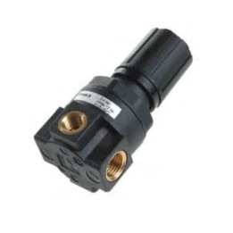 Pneumax 17109B.B Panel Mount Regulator 1/4 Inch 0-4 Bar