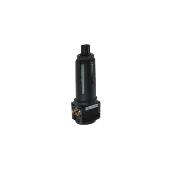 Pneumax 17101B.B.P Filter 1/4 Inch 0