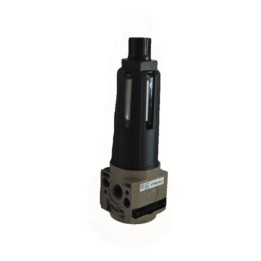 Pneumax 17001B.B.P Filter 0
