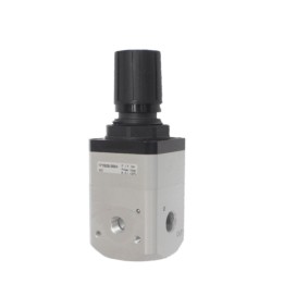 Pneumax 171S2B.0004 High Sensitive Regulator 1/4 Inch 0-4 Bar