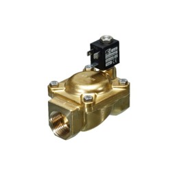 ACL E107IV50 Solenoid Valve - Servo Assisted Normally Closed 2/2 2 Inch N
