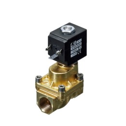 ACL E119CV12/1 Solenoid Valve - Servo Assisted Normally Closed 2/2 Piston 3