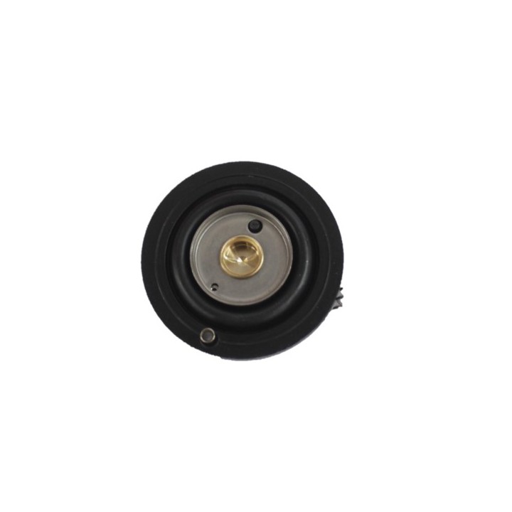 ACL 13654010 Sol Valve - Diaphragm Assembly Nbr E107C,107D,207C,207D Pres