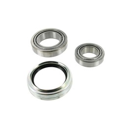 Echlin ECH3202 Wheel Bearing Kit