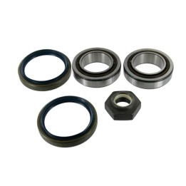Echlin ECH192 Wheel Bearing Kit