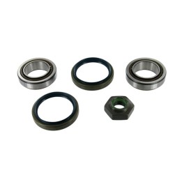 Echlin ECH191 Wheel Bearing Kit