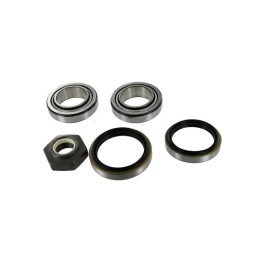 Echlin ECH173 Wheel Bearing Kit