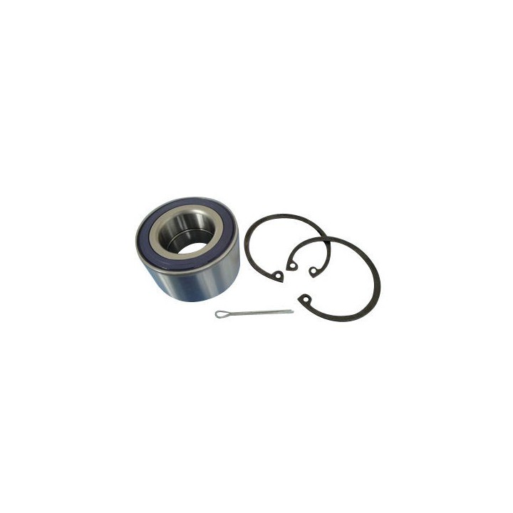 Echlin ECH122 Wheel Bearing Kit