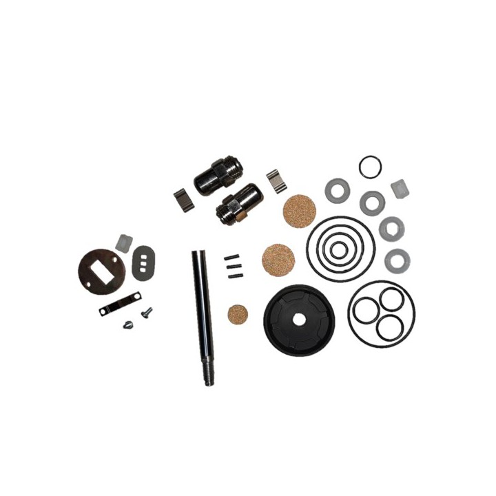 Raasm KS6280 Repair Kit Grease Pumps Ratio 50:1