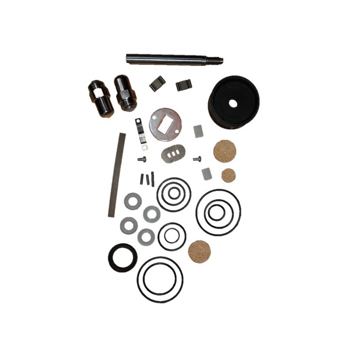 Raasm KS3580 Repair Kit Pumps 35194 -35173 -35160