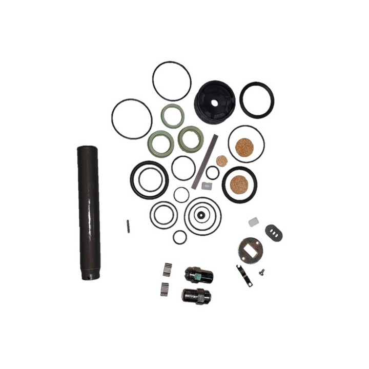 Raasm KS3382 Repair Kit Pumps 33160 - 33161-33194