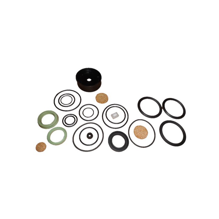 Raasm KR3352 Seal Kit Pump Ratio 1:1