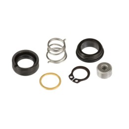 Piusi 11737000 Accessories - Panther Seal Kit Seal Kit Panther Pump