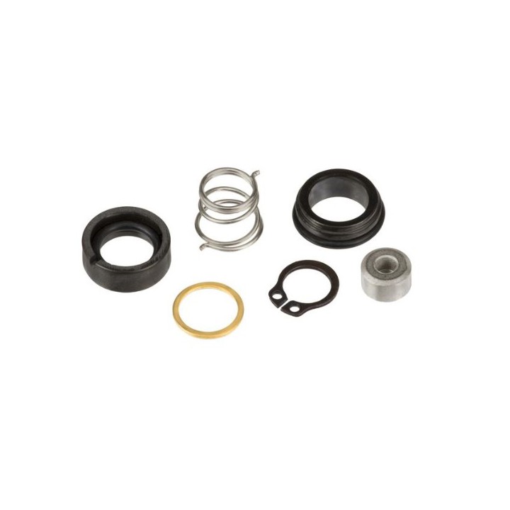 Piusi 11737000 Accessories - Panther Seal Kit Seal Kit Panther Pump