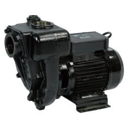 Piusi F00321000 E300 Pump