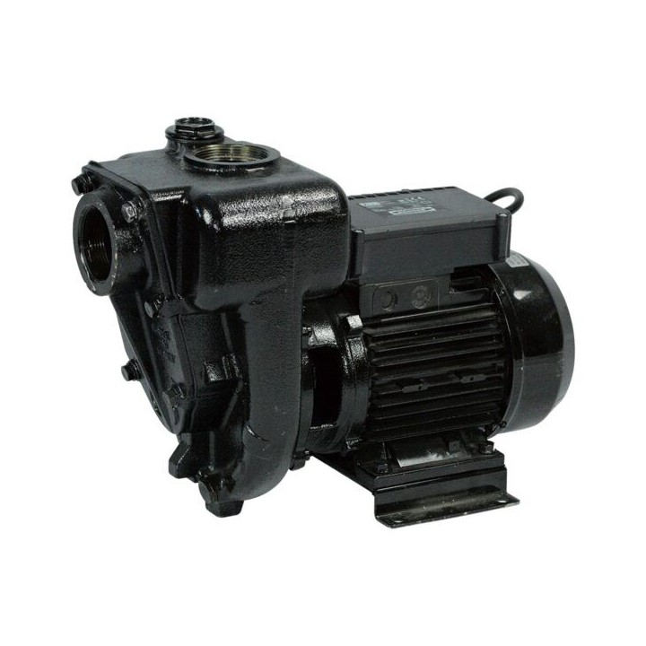 Piusi F00321000 E300 Pump