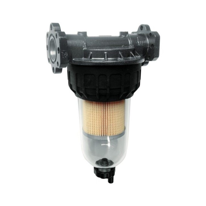 Piusi F00611B10 Filtration - Cartridge Only 70Lmin Clear Captor