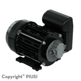 Piusi NMT450006 Pump Garda5 230V/50Hz