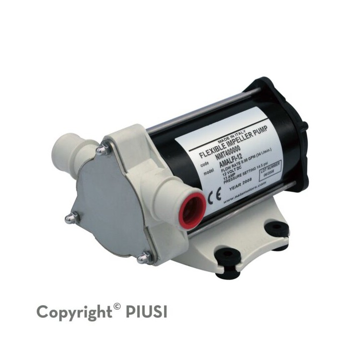 Piusi NMT400000 Pump Amalfi1 12 Volt 34Ltr