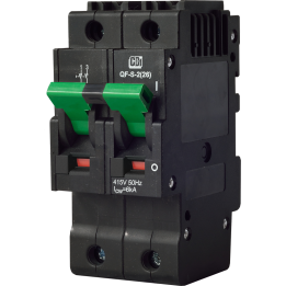 CBI BE-CBI-0000258 QF-S-2(26MM)100A 2P 6kA Isolator