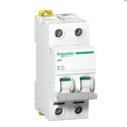 Schneider A9S65291 ISW 2P 100A 415V Isolator