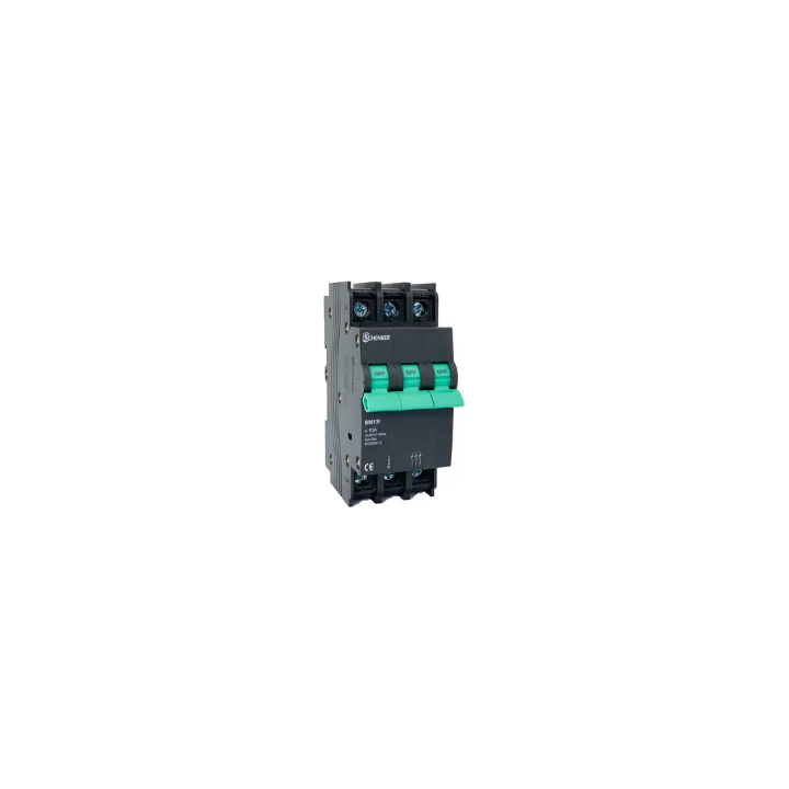 Schenker SMI13-3125 125A 3P ISOLATOR