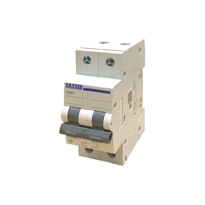 Sassin B6-2C63N 63A 2P 6KA C Curve Breaker