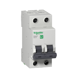 Schneider EZ9F53206 2P 6A 3KA C Curve Breaker Easy9