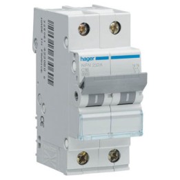 Hager HLF290S 2P 100A 10KA C Curve Circuit Breaker